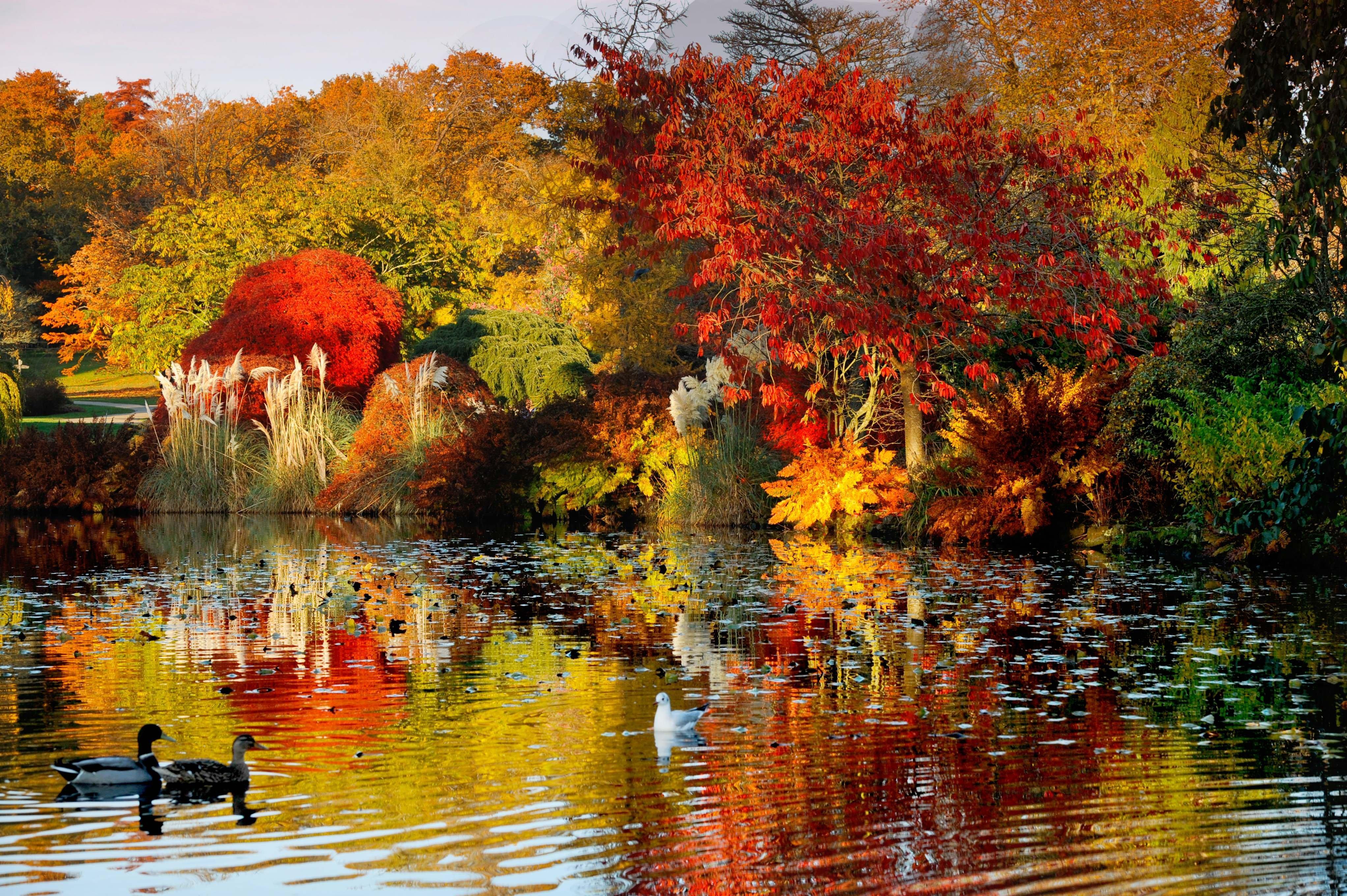 London Gatwick - Worth By Ihg Copthorne (West Sussex)